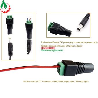 Jack DC đầu vào cổng domino 2P chuẩn 5.5mm x 2.1mm
