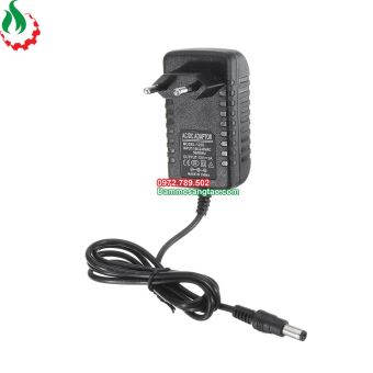 Nguồn 12V 2A dùng cho wifi camera module