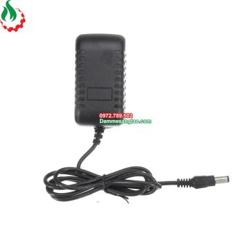 Nguồn 12V 2A dùng cho wifi camera module